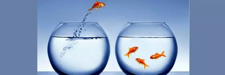 Four questions to ask for a successful career switch