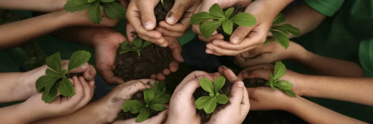 Top Universities for Environmental Studies
