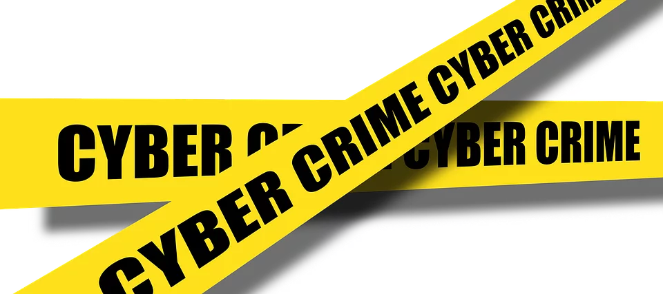 Cyber Crime Concern for Kids